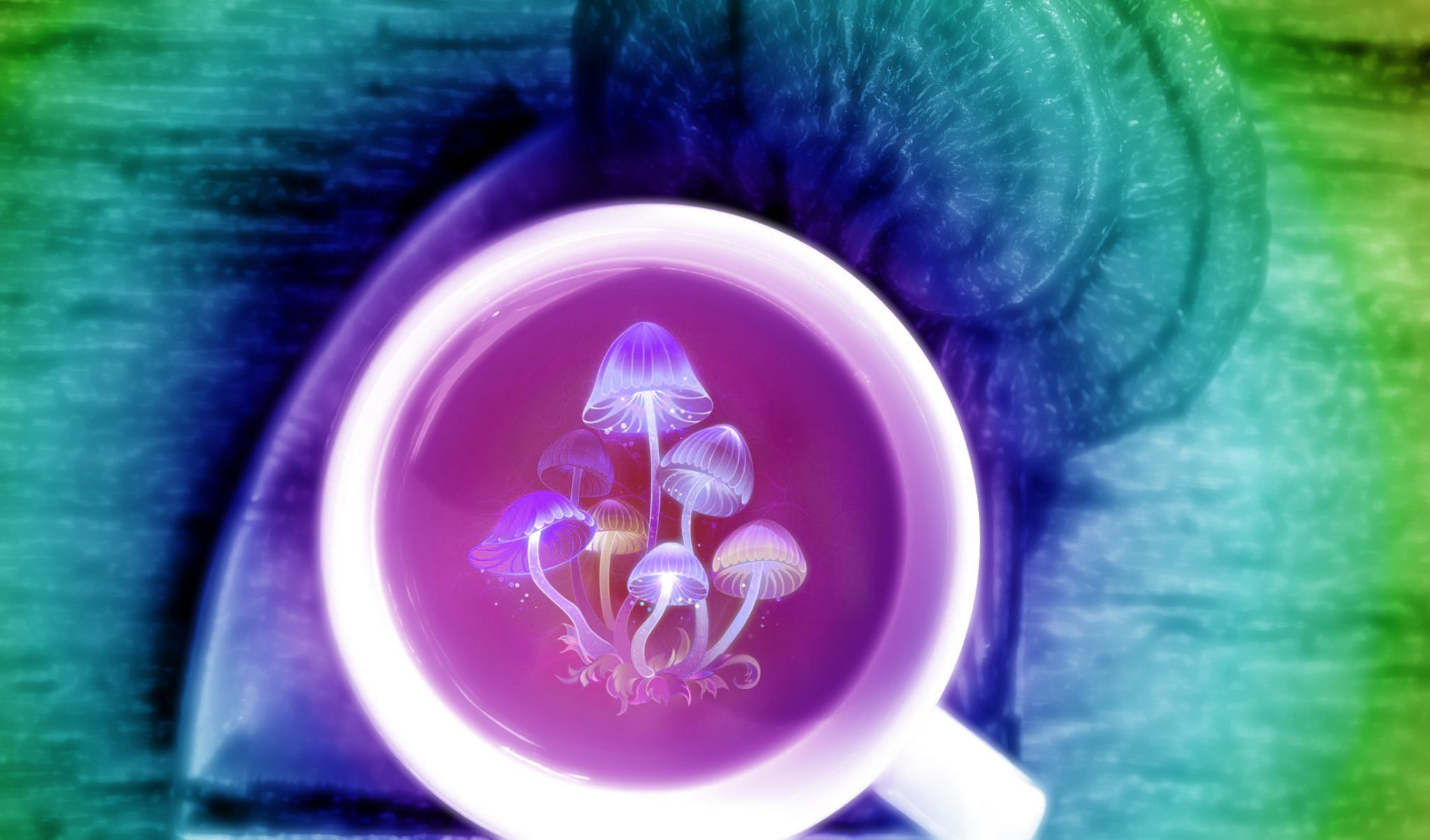 Five Magic Mushroom Treats DA Brownie Boyz