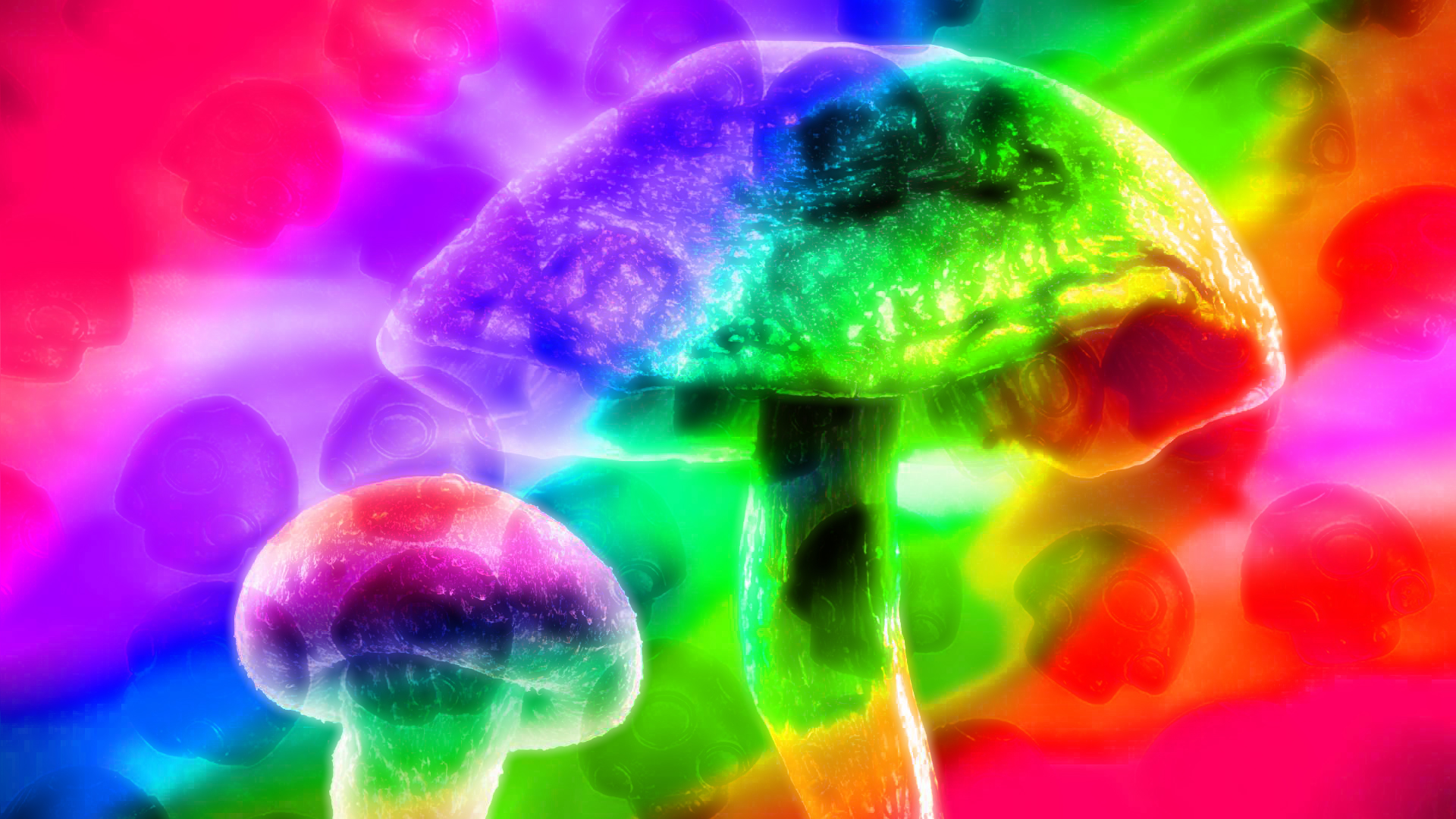 Five Magic Mushroom Treats
