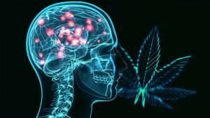 Brain on weed