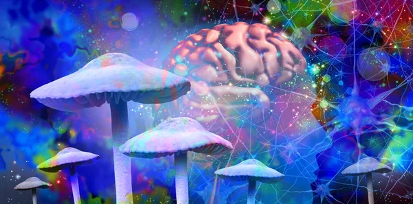 The Magic Mushroom Healing Experience